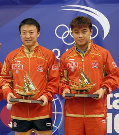 羽毛球卡塔尔公开赛(卡塔尔公开赛男双决赛)