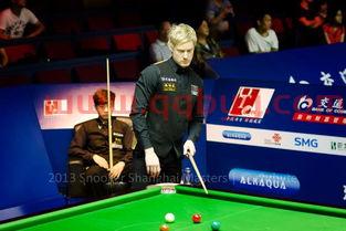 2013斯诺克上海大师赛决赛