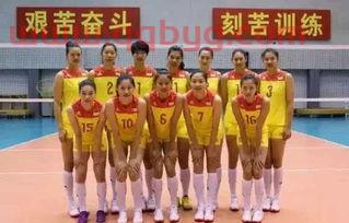 中国女排队员17（中国女排队员17号是谁）