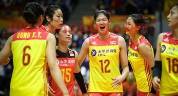 李盈莹中国女排对巴西（中国女排对巴西2019）