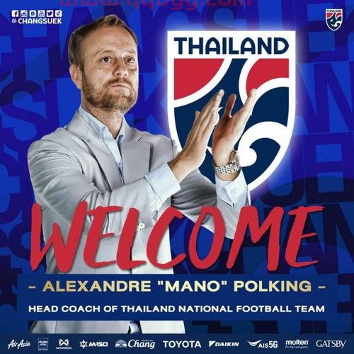 成为国家队的主教练(成为国家队主教练的小说)