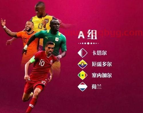 2022世界杯都有什么国家参加了