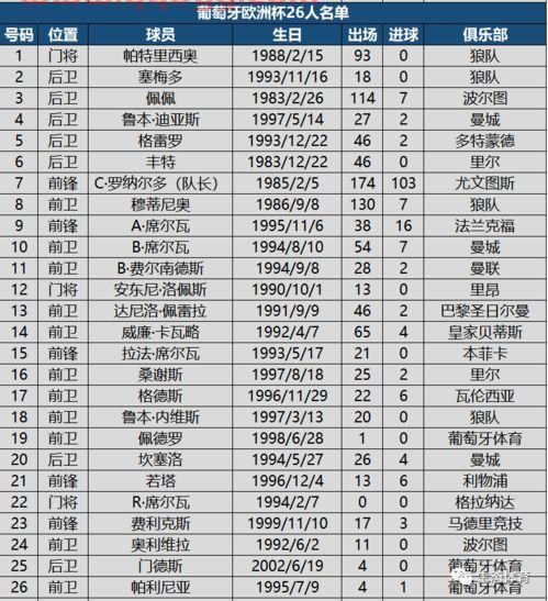 2021年欧洲杯32强简介