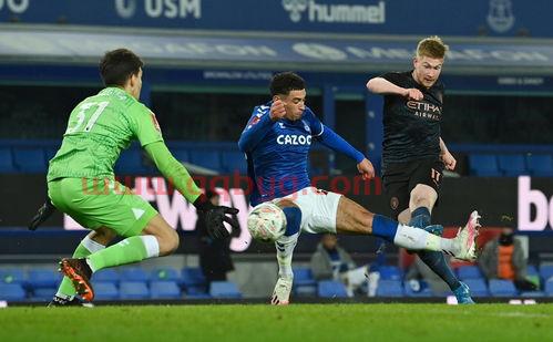 20202021英格兰足总杯半决赛