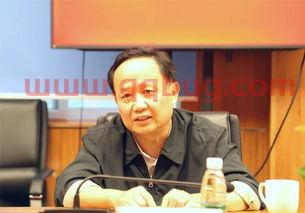 马泽平