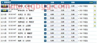 昨晚欧洲杯赔冠率表