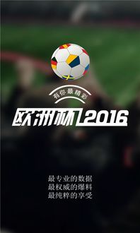 欧洲杯赛事视频直播