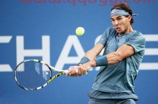 2013美网男单决赛