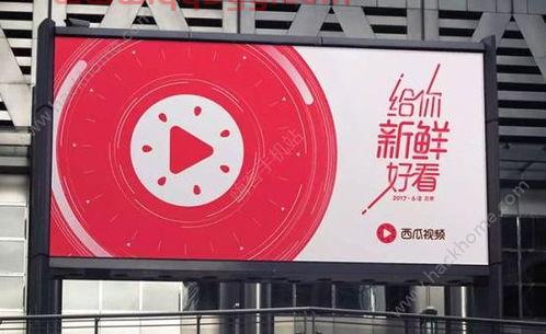 西瓜视频中超直播